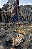 Preah Khan temple - east gopura of the third enclosure, monumental silk-cotton trees.